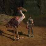 Moa aus Schreiter Tutorial