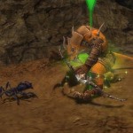 Schwarze Witwe Älteste